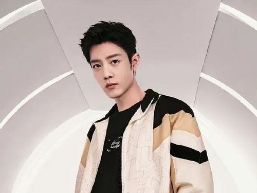 肖战最新经营爆料,跨界合作，开启多元化发展新篇章